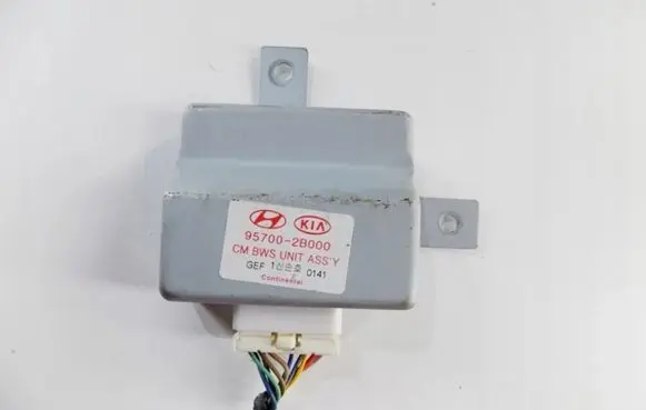 Hyundai Santa Fe Other control units/modules 957002b000