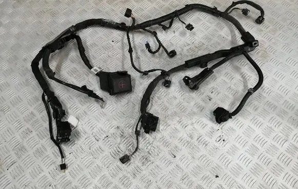 Hyundai Kona I Engine installation wiring loom 91660K4520