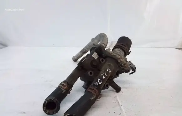 Thermostat/thermostat housing