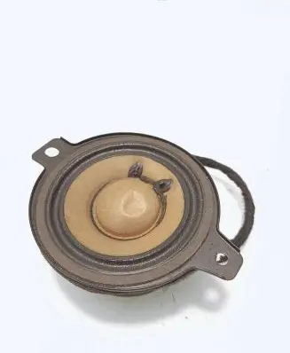 Opel Insignia A Panel speaker 545295771 13257497
