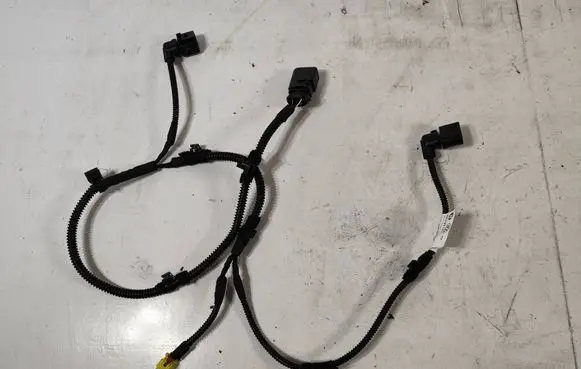 Other wiring loom