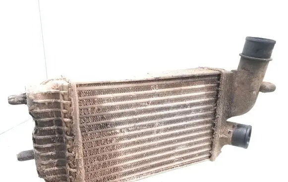 Citroen Jumper Intercooler radiator 1307012080
