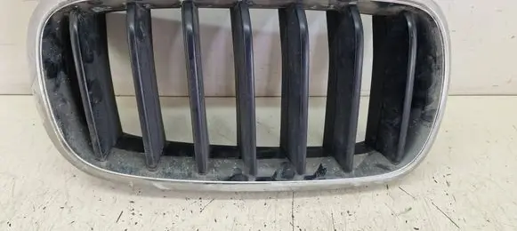BMW X5 F15 Front bumper upper radiator grill 7316076