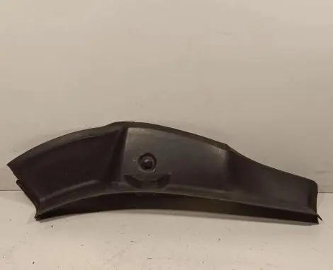 Rear/tail light trim molding