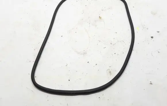 Porsche Panamera (970) Front door rubber seal 97053726501