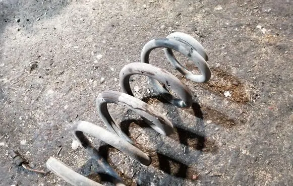 Toyota RAV 4 (XA30) Rear coil spring