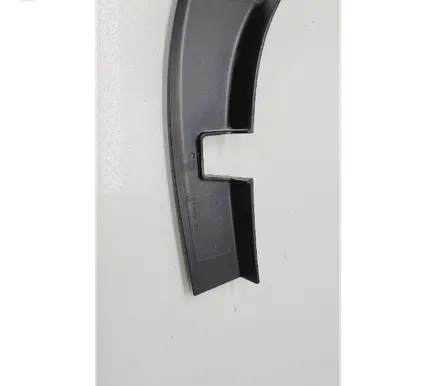 Rear/tail light trim molding