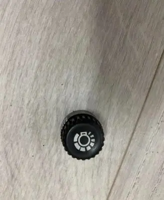 Jaguar XJ X40 Light switch