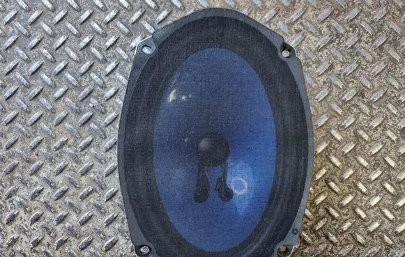 Dodge Charger Front door speaker 52851560AA