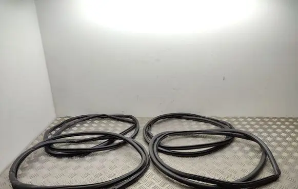 Lexus RX 450H Front door rubber seal