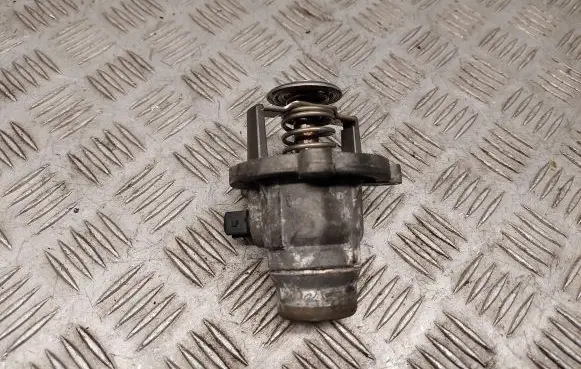 Thermostat/thermostat housing