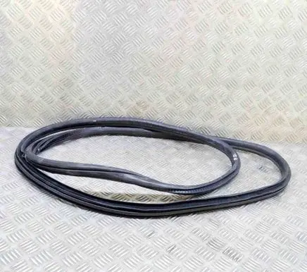 BMW 2 F45 Rubber seal front door (on door) 7298882