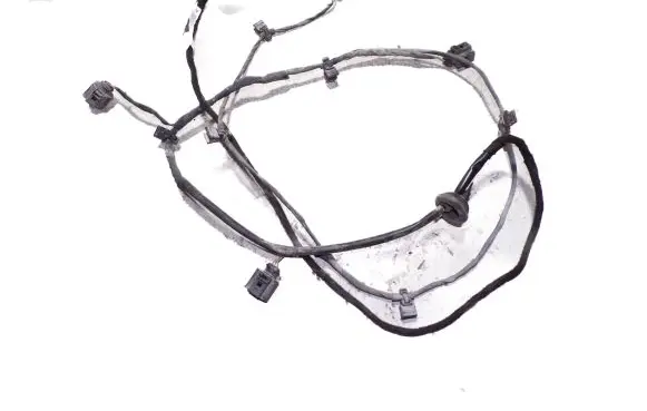 Audi A6 S6 C6 4F Parking sensor (PDC) wiring loom 4F9971085E