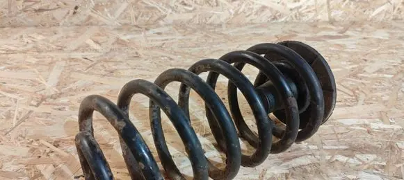 Rear coil spring