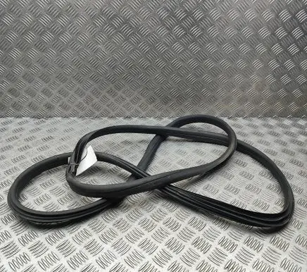 Skoda Yeti (5L) Rubber seal front coupe door 5L0867365B