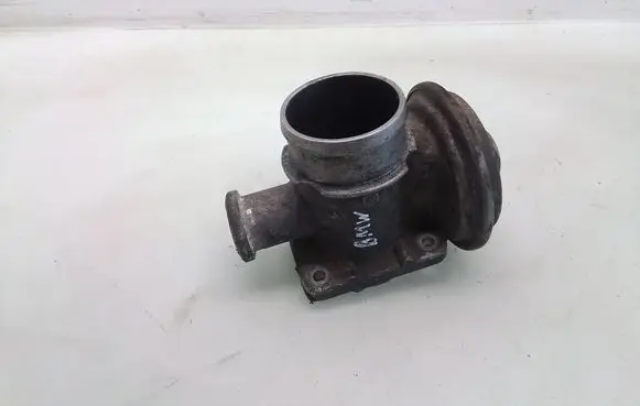 EGR valve