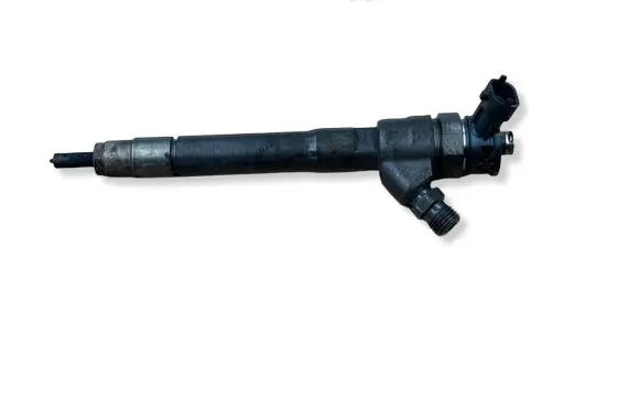 Renault Trafic III (X82) Fuel injector 0445110569