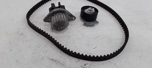 Peugeot 206 Timing belt 