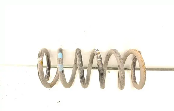 Rear coil spring