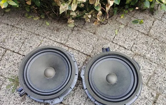 Ford Escape IV Front door speaker LJ6T18808AA