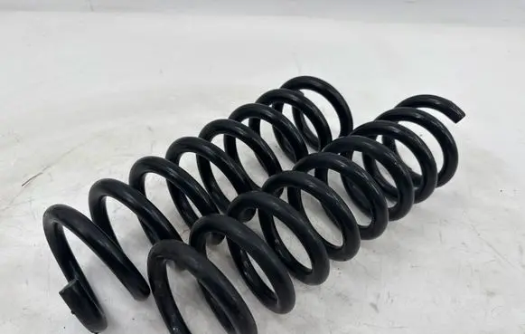 Rear coil spring