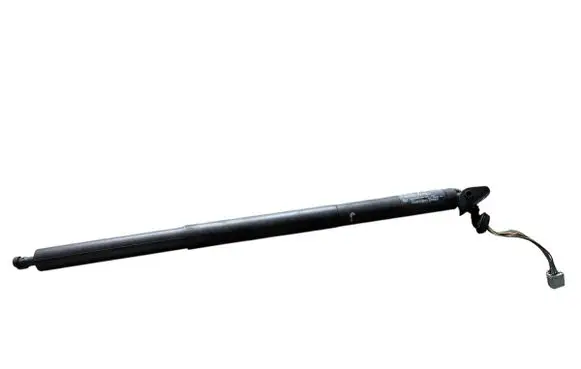 Ford Kuga II Tailgate/trunk strut/damper CV44S402A55AB