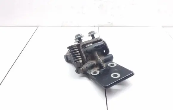 Jaguar XJ X40 Rear door lower hinge