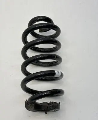 Rear coil spring