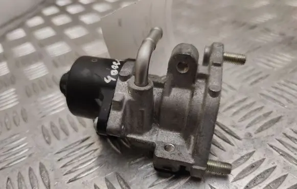 EGR valve