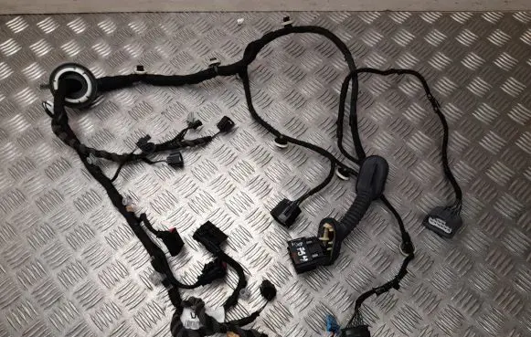 Jaguar I-Pace Front door wiring loom M9D314632DC
