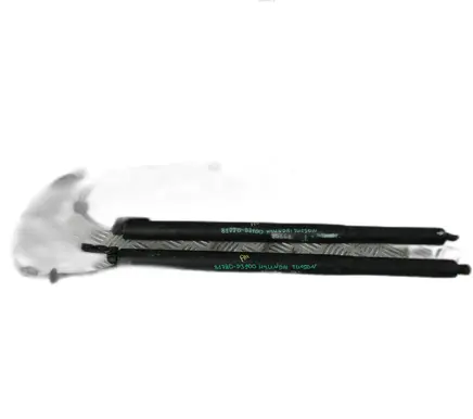 Tailgate strut