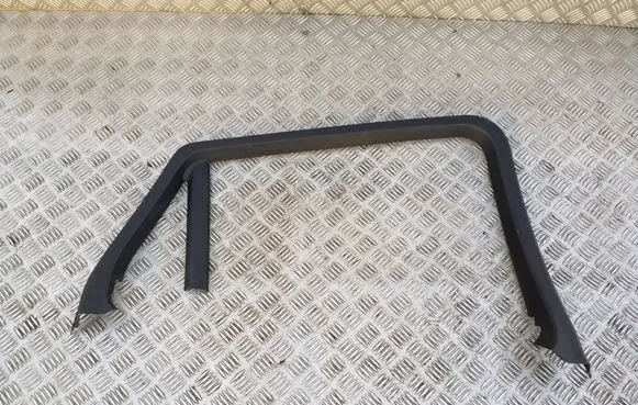 BMW X6 F16 Other rear door trim element 7318171 51357318171