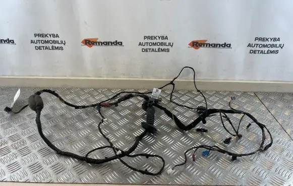 Front door wiring loom