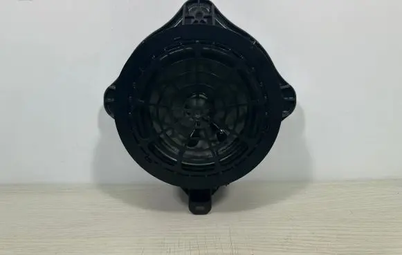 Citroen C5 X Front door speaker