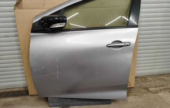 Renault Zoe Front door 801003119R