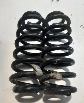 Rear coil spring