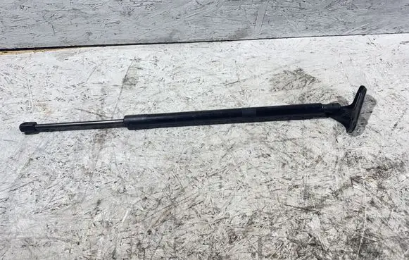 Toyota RAV 4 (XA50) Tailgate strut 689600R060A