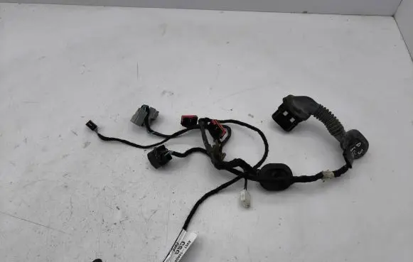 Front door wiring loom