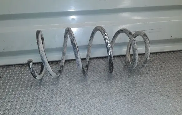 Rear coil spring