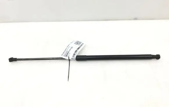 Nissan Qashqai Tailgate strut 90450JD01B