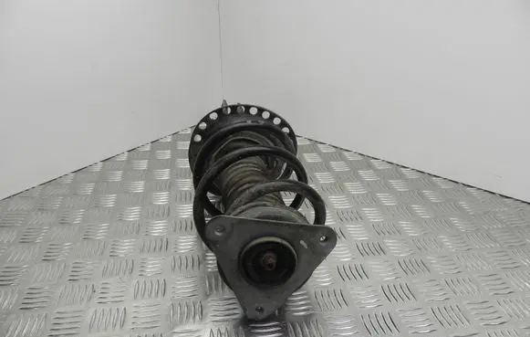 Renault Zoe Front shock absorber/damper 543038406R