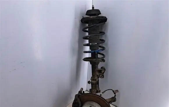 Hyundai i10 Front shock absorber with coil spring 