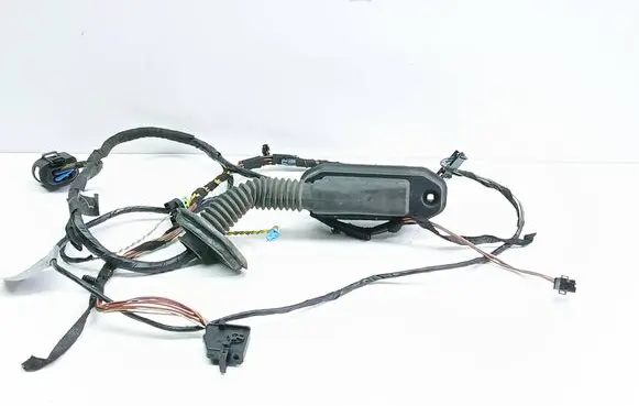 BMW X5 E70 Front door wiring loom 9187998 9205727 66405910