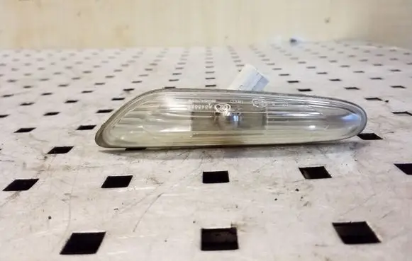 Front fender indicator light