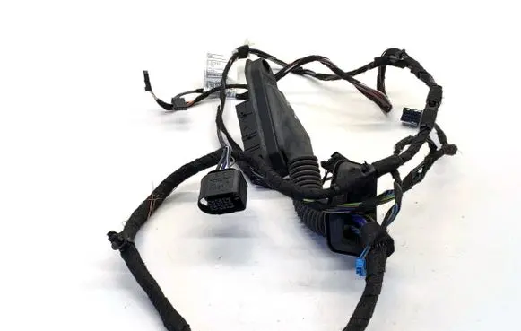 BMW X1 E84 Front door wiring loom 9269949