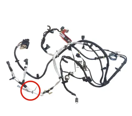 Ford Focus Positive wiring loom JX6T14305 JX6T14305GBAC
