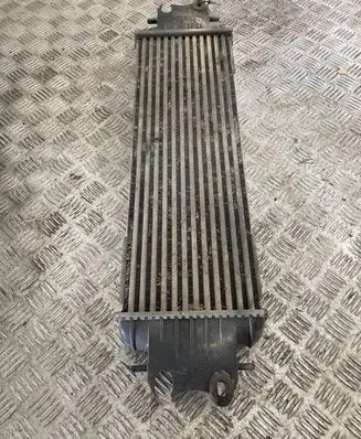 Renault Trafic II (X83) Intercooler radiator 7700312903