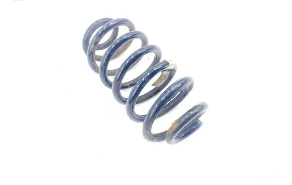 Rear coil spring