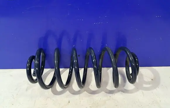 Rear coil spring