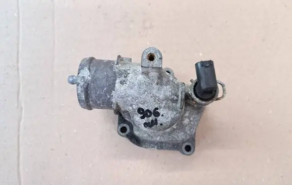 Thermostat/thermostat housing